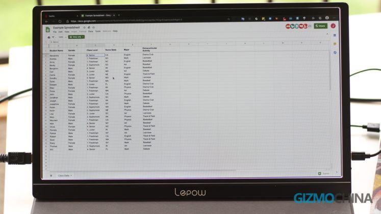 Lepow-kannettavan näytön tarkistus 40 